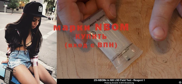 ECSTASY Алзамай
