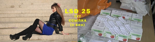 ECSTASY Алзамай