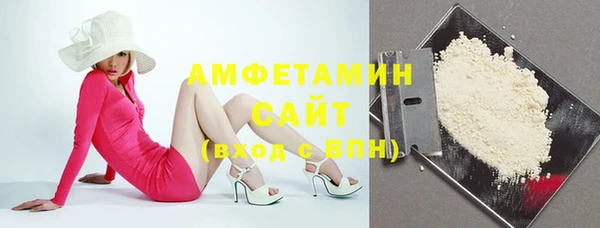 ECSTASY Алзамай